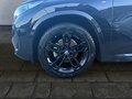 Thumbnail 11 - BMW X1 20d xDrive M Sport AHK/MASSAGE/MMRY/ADAPTLED
