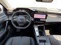 Daumennagel 11 - Peugeot 308 1.2 PureTech Allure Pack ACC/TOTWINKEL/RFK