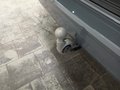 Daumennagel 12 - Volkswagen T7 Multivan Style AHK/PANO/STNDHZNG/ACC/RFK/APPLE