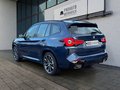 Daumennagel 2 - BMW X3 xDrive 20d M Sport HEADUP/DRIVINGASSITANT/DAB