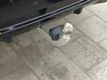 Daumennagel 15 - BMW X4 xDrive 30d M Sport AHK/LASER/HUD/STNHDZNG/H&K