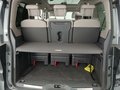 Daumennagel 10 - Volkswagen T7 Multivan Style lang STNDHZNG/PANO/ACC/RFK