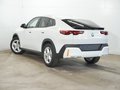 Daumennagel 3 - BMW X2 20d xDrive AHK/ACC/ADAPTLED/HUD/360°/PANO/NAVI
