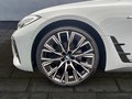 Daumennagel 10 - BMW 420d Gran Coupe xDrive M Sport GLSDCH/H&K/STNDHZNG