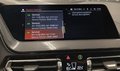 Daumennagel 11 - BMW 218i Gran Coupe M Sport AHK/ACC/MMRY/PANO/HUD/H&K