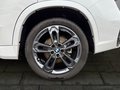 Daumennagel 10 - BMW X1 20d xDrive M Sport MASSAGE/ACC/ADAPTLED/PANO