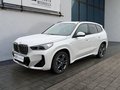 Daumennagel 1 - BMW X1 20d xDrive M Sport MASSAGE/ACC/ADAPTLED/PANO
