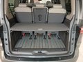 Daumennagel 12 - Volkswagen T7 Multivan Edition lang AHK/HUD/PANO/STNDHZNG