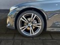 Daumennagel 5 - BMW 320d xDrive M Sport AHK/ASSISTPRO/HK/PANO/ACC/HUD