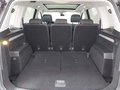 Daumennagel 12 - Volkswagen Touran Comfortline AHK/PANO/STNDHZNG/DYNAUDIO/RFK