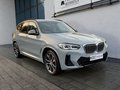 Daumennagel 4 - BMW X3 xDrive 20d M Sport AHK/PANO/ASSISTPROF/HEADUP