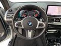 Daumennagel 9 - BMW X3 xDrive 20d M Sport AHK/PANO/ASSISTPROF/HEADUP