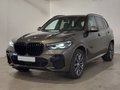 Daumennagel 1 - BMW X5 xDrive 30d M Sport AHK/ACC/HUD/PANO/STNDHZNG