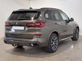 Daumennagel 2 - BMW X5 xDrive 30d M Sport AHK/ACC/HUD/PANO/STNDHZNG