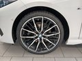 Daumennagel 4 - BMW 218i Gran Coupe M Sport PANO/H&K/HEADUP/ACC/ADAPTLED