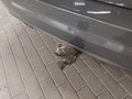 Thumbnail 15 - Volkswagen Touran Comfortline ADAPTLED/AHK/PANO/DYNAUDIO/RFK