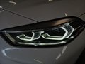 Daumennagel 3 - BMW 118i M Sport HUD/PANO/PARKASSIST/H&K/CARPLAY/LED