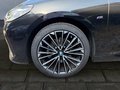 Daumennagel 10 - BMW 218i Active Tourer M Sport AHK/HEADUP/360°/PANO