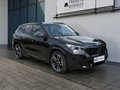 Thumbnail 4 - BMW X1 20d xDrive M Sport AHK/ADAPTLED/HUD/MEMORY/H&K