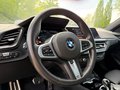 Daumennagel 11 - BMW 218i Gran Coupe M Sport ACC/PARKASSIST/HIFI/PANO