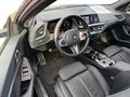 Daumennagel 6 - BMW 218i Gran Coupe M Sport ACC/PARKASSIST/HIFI/PANO