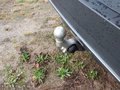 Thumbnail 13 - MINI Cooper S Countryman ALL4 PANORAMA/HUD/AHK/KAMERA