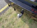 Thumbnail 10 - BMW 318i M Sport HEADUP/360°/ACC/HIFI/AHK/ADAPTLED