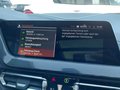 Daumennagel 10 - BMW 118i M Sport ADAPTLED/PANO/PARKASSIST/HIFI/NAVI