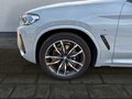 Daumennagel 10 - BMW X4 xDrive 30d M Sport AHK/LASER/STNDHZNG/PANO/DAB