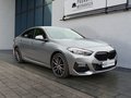 Daumennagel 4 - BMW 218i Gran Coupe M Sport ACC/HIFI/PARKASSIST/DAB