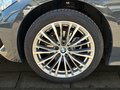 Daumennagel 10 - BMW 320d xDrive AHK/HEADUP/ACC/PANO/STNDHZNG/HIFI/LED