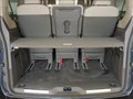 Daumennagel 13 - Volkswagen T7 Multivan Style AHK/HUD/STNDHZNG/ACC/MATRIXLED