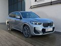 Thumbnail 4 - BMW X1 20d xDrive M Sport PANO/MASSAGE/AHK/MEMORY