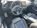 Daumennagel 5 - BMW 218i Gran Coupe M Sport ACC/HIFI/PARKASSIST/RFK
