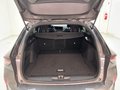 Daumennagel 10 - Opel Astra L 1.2 Turbo ST GS HEADUP/360°/CARPLAY/ACC