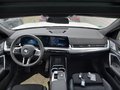 Daumennagel 7 - BMW X2 20i sDrive M Sport AHK/MMRY/PANO/H&K/PRKASSIST