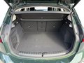 Daumennagel 15 - BMW 218i Active Tourer Luxury Line ACC/RFK/KMFRTZGNG