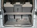 Daumennagel 10 - Volkswagen T7 Multivan Style PANO/FAHRWERKADAPTIV/AHK/RFK