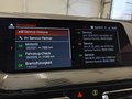 Daumennagel 8 - BMW 218i Gran Coupe M Sport ACC/ADAPTLED/MMRY/PANO