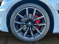 Daumennagel 5 - BMW 430d xDrive Gran Coupé M Sport PRO MEMORY/GSD/ACC