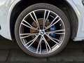 Daumennagel 11 - BMW X3 xDr. 30d M Sport AHK/ASSISTPROF/HUD/PANO/MMRY
