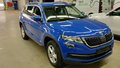 Daumennagel 2 - Skoda Kodiaq 2.0 TDI SCR DSG 4x4 AMBITION