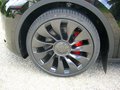 Daumennagel 6 - Tesla Model Y Performance (Reichw. 514 km) Allrad