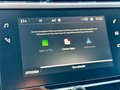 Daumennagel 102 - Tesla Model Y Performance (Reichw. 514 km) Allrad