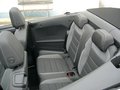 Daumennagel 11 - Volkswagen T-Roc 1.5 TSI OPF DSG R-Line So/Winterräder