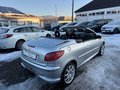 Daumennagel 8 - Peugeot 206 CC Filou 110*KLIMA*ALU*PDC*TÜV NEU*