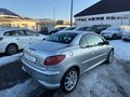 Daumennagel 9 - Peugeot 206 CC Filou 110*KLIMA*ALU*PDC*TÜV NEU*