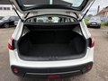 Daumennagel 20 - Nissan Qashqai 1.6 dCi 4x4*PANO*KLIMA*CAMARA*TÜV NEU*