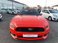 Daumennagel 3 - Ford Mustang 3.7 CONVERTIBLE AUT.*LEDER*KAMERA*USA