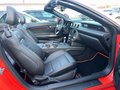 Daumennagel 10 - Ford Mustang 3.7 CONVERTIBLE AUT.*LEDER*KAMERA*USA